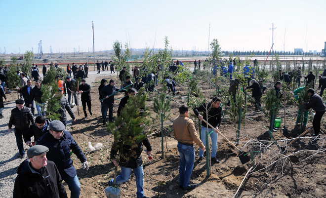 Завершен проект "Заменим каждый лист бумаги на листья" (ФОТО)