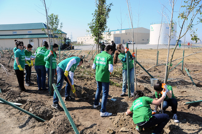 Завершен проект "Заменим каждый лист бумаги на листья" (ФОТО)