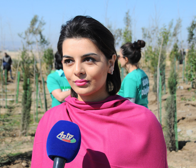 Завершен проект "Заменим каждый лист бумаги на листья" (ФОТО)