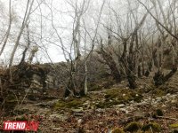 История Азербайджана: пещера Уган, башня "Мухас", крепость "Гелерсен-герерсен", могила Хаджи-Мурата (ФОТО)