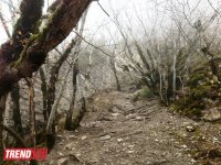 История Азербайджана: пещера Уган, башня "Мухас", крепость "Гелерсен-герерсен", могила Хаджи-Мурата (ФОТО)