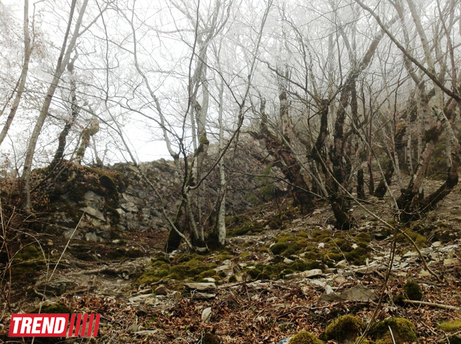 История Азербайджана: пещера Уган, башня "Мухас", крепость "Гелерсен-герерсен", могила Хаджи-Мурата (ФОТО)