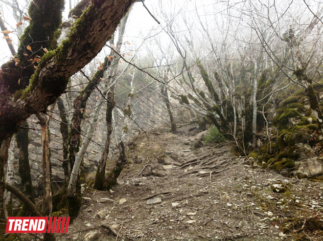 История Азербайджана: пещера Уган, башня "Мухас", крепость "Гелерсен-герерсен", могила Хаджи-Мурата (ФОТО)
