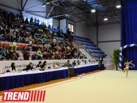 В столице состоялось 21-е первенство Баку по художественной гимнастике (ФОТО)