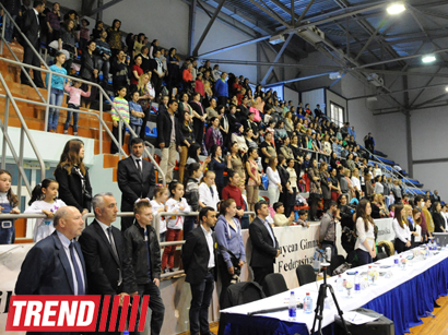 В столице состоялось 21-е первенство Баку по художественной гимнастике (ФОТО)