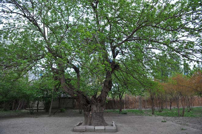 В Азербайджане реализуется проект "Образцовое село" (ФОТО)