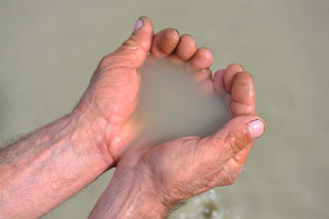 В Азербайджане реализуется проект "Образцовое село" (ФОТО)