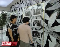 В Международном центре мугама отметили юбилей кинорежиссера Тофига Исмайлова (ФОТО)