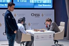 Международный шахматный турнир "Shamkir Chess 2014" - день девятый (ФОТО)