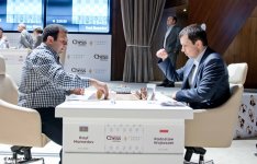 Международный шахматный турнир "Shamkir Chess 2014" - день девятый (ФОТО)