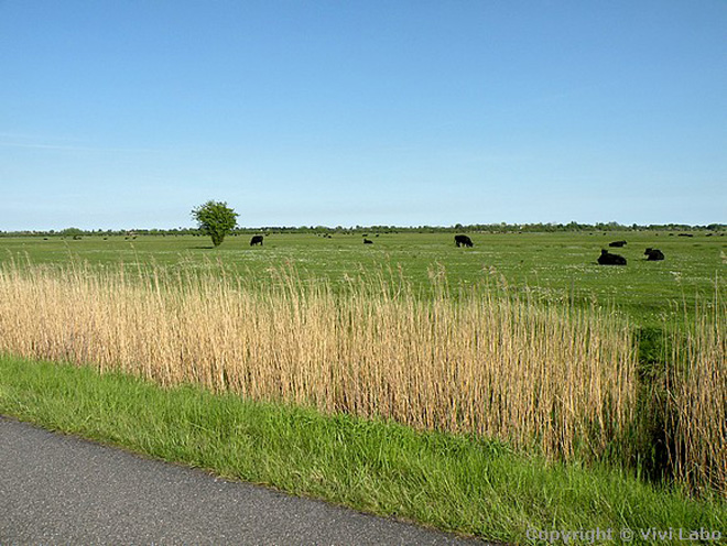 Место проведения "Евровидения 2014" - остров Амагер, арена B&W, интересная информация (ФОТО)