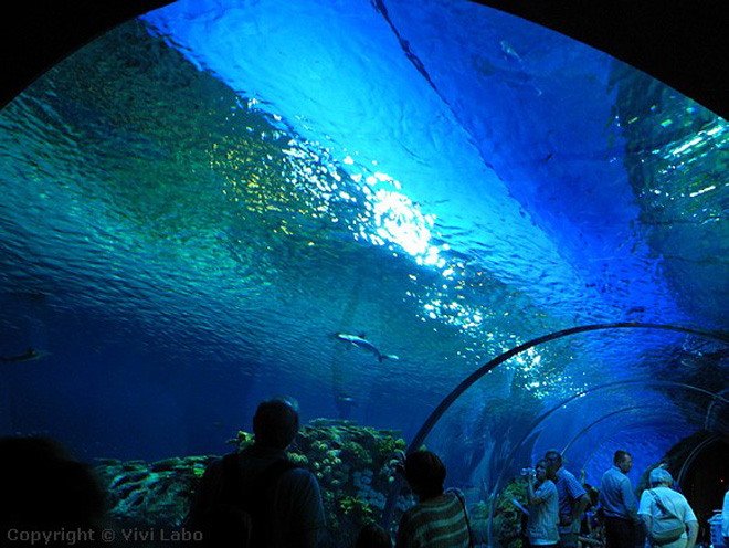 Место проведения "Евровидения 2014" - остров Амагер, арена B&W, интересная информация (ФОТО)