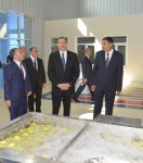 Президент Ильхам Алиев принял участие в открытии Агдашского завода по
переработке фруктов (ФОТО)