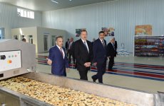 Президент Ильхам Алиев принял участие в открытии Агдашского завода по
переработке фруктов (ФОТО)