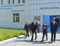 Президент Ильхам Алиев принял участие в открытии Агдашского завода по
переработке фруктов (ФОТО)