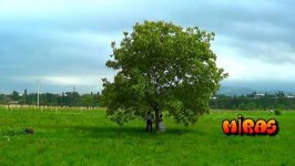 В Азербайджане снят комедийный фильм "Наследство" (ФОТО)