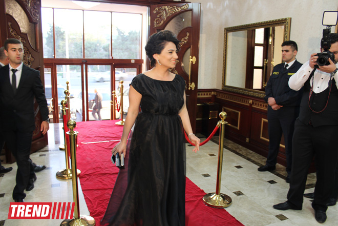 Торжественная церемония награждения премией "Zirvədəkilər" в Баку - звезды на красной дорожке (ФОТО)