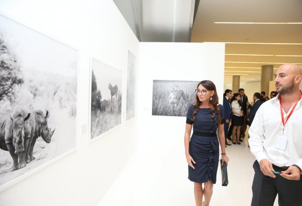 Первая леди Азербайджана Мехрибан Алиева осмотрела выставку Адриана Стерна "Дикая природа Африки" в Центре Гейдара Алиева (ФОТО)