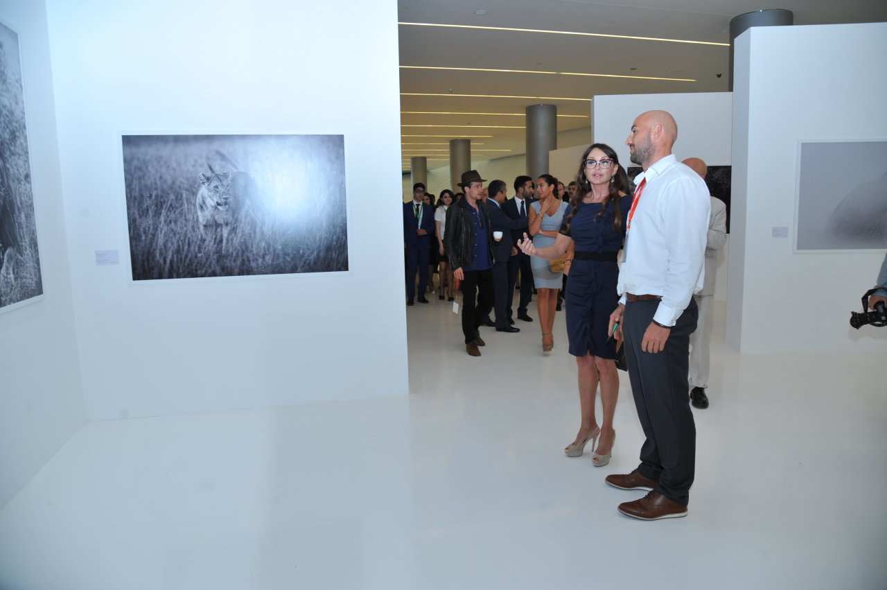 Первая леди Азербайджана Мехрибан Алиева осмотрела выставку Адриана Стерна "Дикая природа Африки" в Центре Гейдара Алиева (ФОТО)