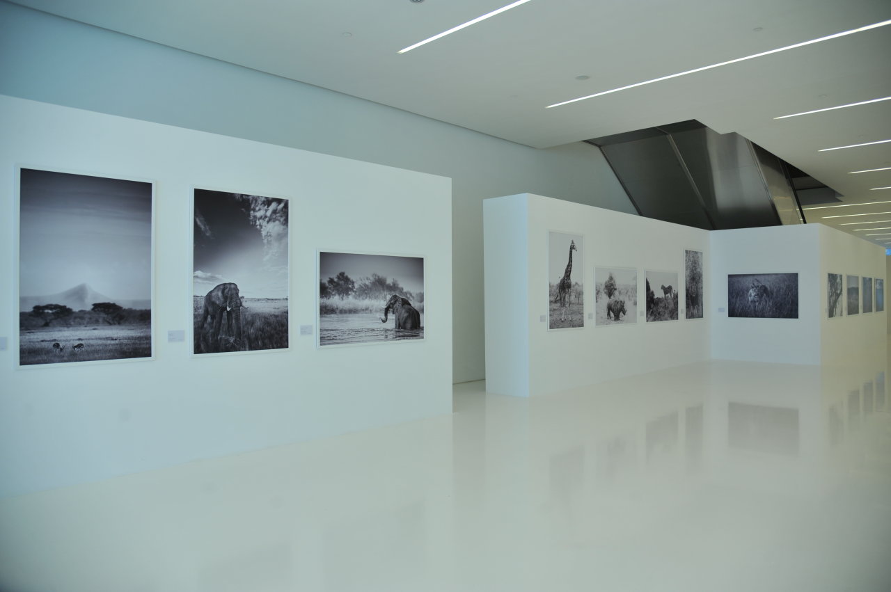 Первая леди Азербайджана Мехрибан Алиева осмотрела выставку Адриана Стерна "Дикая природа Африки" в Центре Гейдара Алиева (ФОТО)