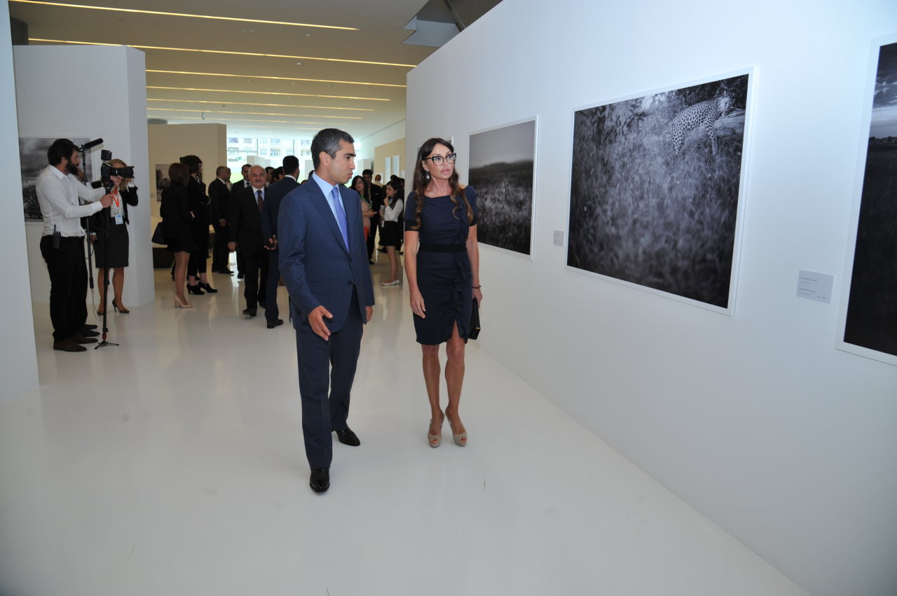 Первая леди Азербайджана Мехрибан Алиева осмотрела выставку Адриана Стерна "Дикая природа Африки" в Центре Гейдара Алиева (ФОТО)