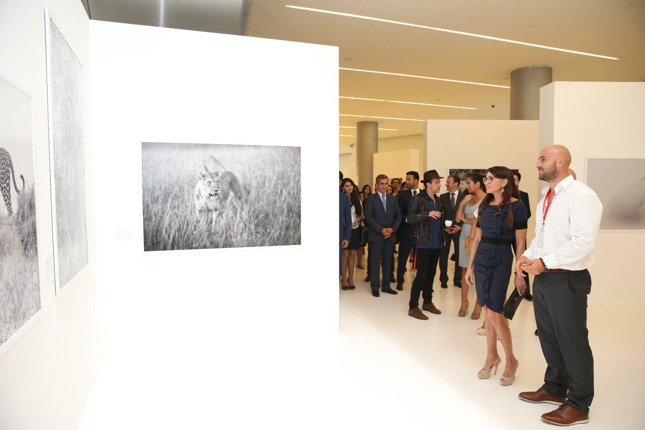 Первая леди Азербайджана Мехрибан Алиева осмотрела выставку Адриана Стерна "Дикая природа Африки" в Центре Гейдара Алиева (ФОТО)