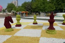 Президент Азербайджана и его супруга приняли участие в Празднике цветов (ФОТО)