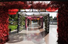 Президент Азербайджана и его супруга приняли участие в Празднике цветов (ФОТО)