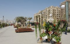 Президент Азербайджана и его супруга приняли участие в Празднике цветов (ФОТО)