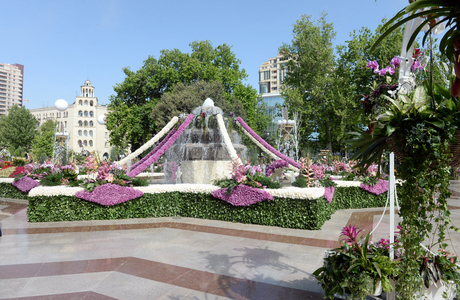 Президент Азербайджана и его супруга приняли участие в Празднике цветов (ФОТО)