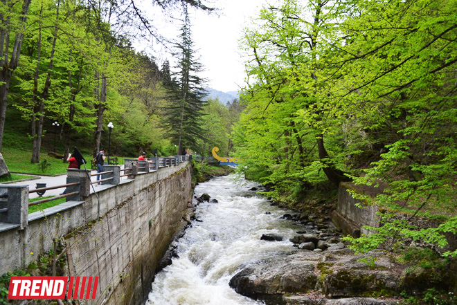 Весна в Грузии, или еще раз о туристических достопримечательностях Сакартвело (ФОТО, часть 2)
