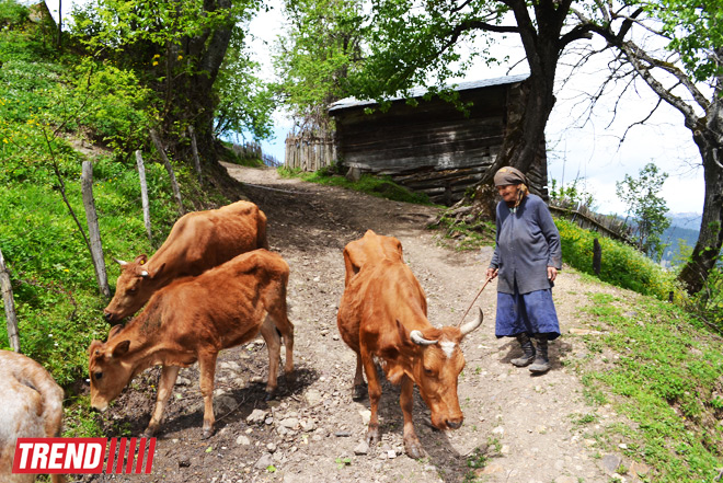 Весна в Грузии, или еще раз о туристических достопримечательностях Сакартвело (ФОТО, часть 2)