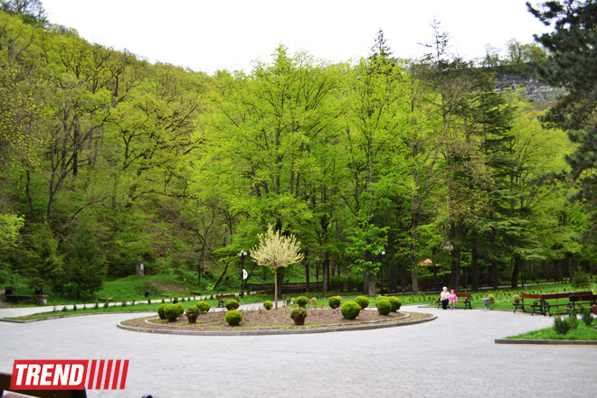 Весна в Грузии, или еще раз о туристических достопримечательностях Сакартвело (ФОТО, часть 2)