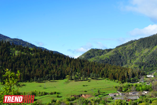 Весна в Грузии, или еще раз о туристических достопримечательностях Сакартвело (ФОТО, часть 2)