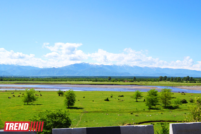 Весна в Грузии, или еще раз о туристических достопримечательностях Сакартвело (ФОТО, часть 2)