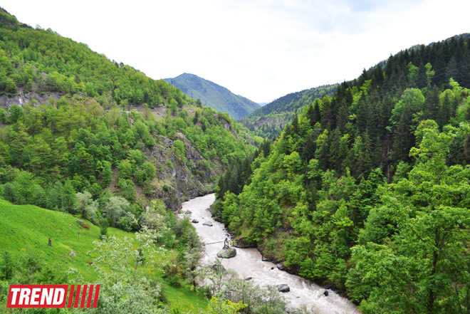 Весна в Грузии, или еще раз о туристических достопримечательностях Сакартвело (ФОТО, часть 2)