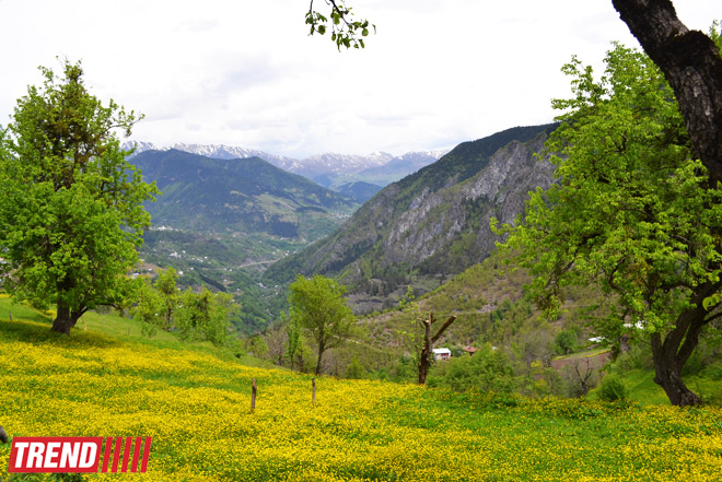 Весна в Грузии, или еще раз о туристических достопримечательностях Сакартвело (ФОТО, часть 2)
