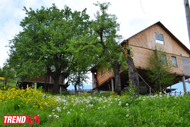 Весна в Грузии, или еще раз о туристических достопримечательностях Сакартвело (ФОТО, часть 2)