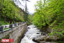 Весна в Грузии, или еще раз о туристических достопримечательностях Сакартвело (ФОТО, часть 2)