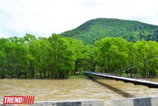 Весна в Грузии, или еще раз о туристических достопримечательностях Сакартвело (ФОТО, часть 2)