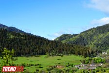 Весна в Грузии, или еще раз о туристических достопримечательностях Сакартвело (ФОТО, часть 2)