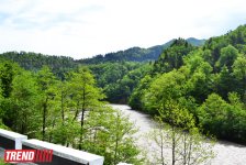 Весна в Грузии, или еще раз о туристических достопримечательностях Сакартвело (ФОТО, часть 2)