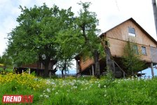 Весна в Грузии, или еще раз о туристических достопримечательностях Сакартвело (ФОТО, часть 2)