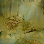 Остается истинное, остальное отсеивается временем - художник Джамиля Гашимова (ФОТО)