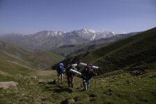 Члены Объединения фотографов Азербайджана совершили восхождение на пик имени Гейдара Алиева (ФОТО)