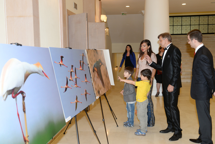 Лейла Алиева  приняла участие в церемонии презентации фильма «Ширванский национальный парк» (ФОТО)