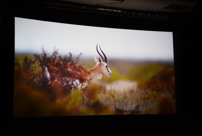Лейла Алиева  приняла участие в церемонии презентации фильма «Ширванский национальный парк» (ФОТО)