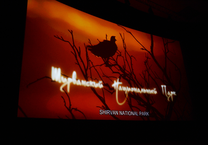 Лейла Алиева  приняла участие в церемонии презентации фильма «Ширванский национальный парк» (ФОТО)