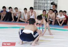 Определились победители чемпионата Баку по сумо среди юношей (ФОТО)