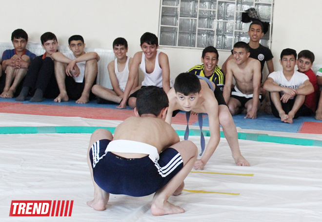 Определились победители чемпионата Баку по сумо среди юношей (ФОТО)